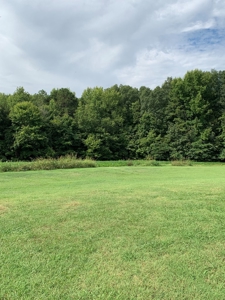 Tranquility Awaits In Southern VA - image 22