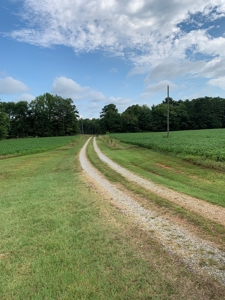 Tranquility Awaits In Southern VA - image 23