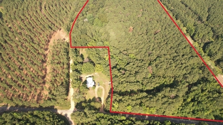 +/- 22 Acre Timber/Hunting Tract in Amite County, MS - image 2