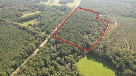 +/- 22 Acre Timber/Hunting Tract in Amite County, MS - image 5