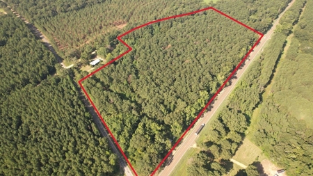 +/- 22 Acre Timber/Hunting Tract in Amite County, MS - image 4