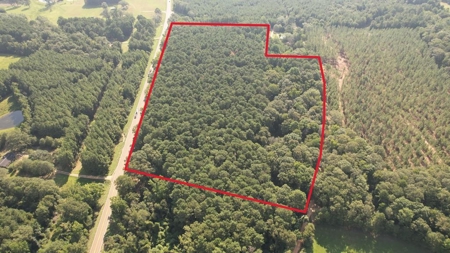+/- 22 Acre Timber/Hunting Tract in Amite County, MS - image 1