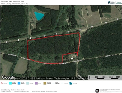+/- 22 Acre Timber/Hunting Tract in Amite County, MS - image 39