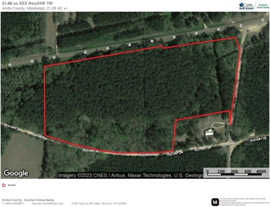 +/- 22 Acre Timber/Hunting Tract in Amite County, MS - image 37