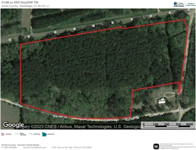 +/- 22 Acre Timber/Hunting Tract in Amite County, MS - image 38