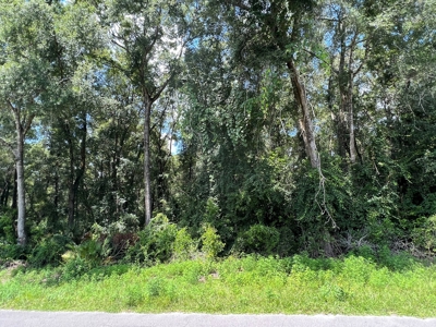 Land for Sale in North Florida Near River - image 3