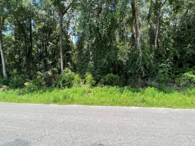 Land for Sale in North Florida Near River - image 2