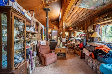 Serene Riverfront Property for sale in Dolores, Colorado - image 5