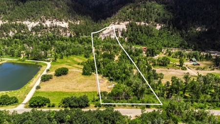 Serene Riverfront Property for sale in Dolores, Colorado - image 23