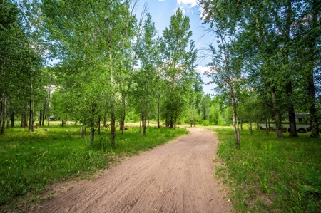 Serene Riverfront Property for sale in Dolores, Colorado - image 8