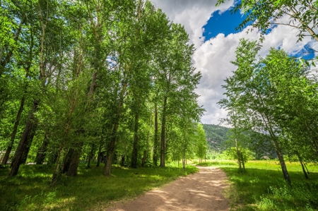 Serene Riverfront Property for sale in Dolores, Colorado - image 12