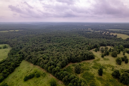 Ozarks  Hunting & Recreational Acreage With A Cave In Ar - image 9