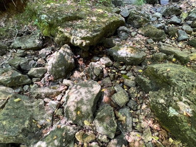 Ozarks  Hunting & Recreational Acreage With A Cave In Ar - image 17