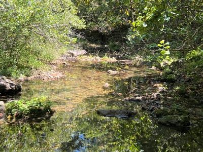 Ozarks  Hunting & Recreational Acreage With A Cave In Ar - image 19