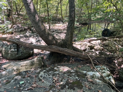 Ozarks  Hunting & Recreational Acreage With A Cave In Ar - image 13