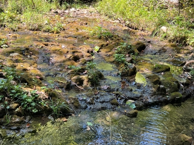 Ozarks  Hunting & Recreational Acreage With A Cave In Ar - image 18