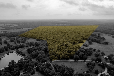 Ozarks  Hunting & Recreational Acreage With A Cave In Ar - image 8
