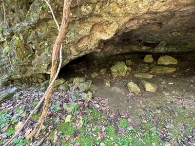 Ozarks  Hunting & Recreational Acreage With A Cave In Ar - image 23