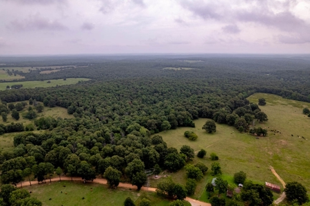 Ozarks  Hunting & Recreational Acreage With A Cave In Ar - image 5
