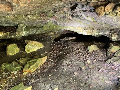 Ozarks  Hunting & Recreational Acreage With A Cave In Ar - image 27