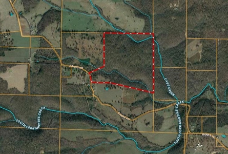 Ozarks  Hunting & Recreational Acreage With A Cave In Ar - image 12
