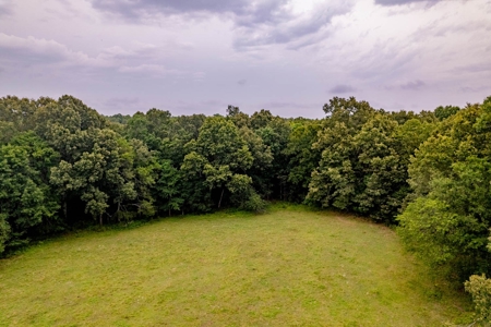 Ozarks  Hunting & Recreational Acreage With A Cave In Ar - image 1