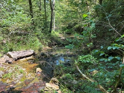 Ozarks  Hunting & Recreational Acreage With A Cave In Ar - image 22