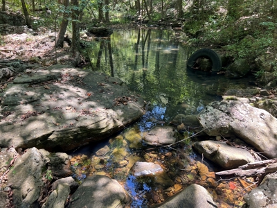 Ozarks  Hunting & Recreational Acreage With A Cave In Ar - image 15