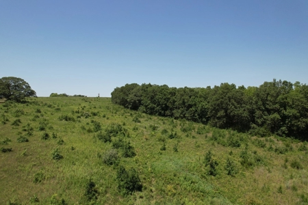 100+/- Acres Excellent Deer and Turkey Hunting Timber/CRP - image 21