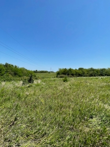 100+/- Acres Excellent Deer and Turkey Hunting Timber/CRP - image 16