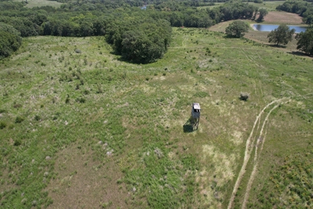 100+/- Acres Excellent Deer and Turkey Hunting Timber/CRP - image 4