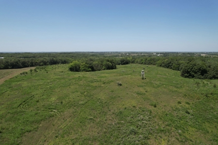 100+/- Acres Excellent Deer and Turkey Hunting Timber/CRP - image 7