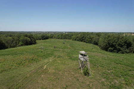 100+/- Acres Excellent Deer and Turkey Hunting Timber/CRP - image 5