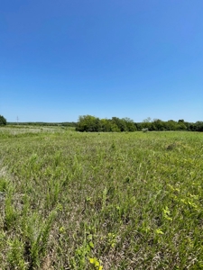 100+/- Acres Excellent Deer and Turkey Hunting Timber/CRP - image 14