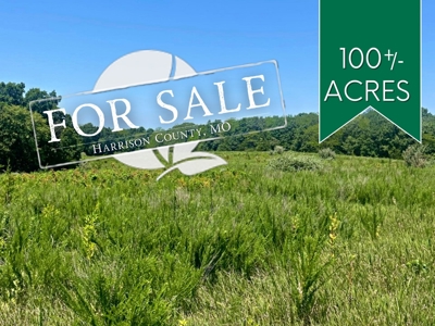 100+/- Acres Excellent Deer and Turkey Hunting Timber/CRP - image 1