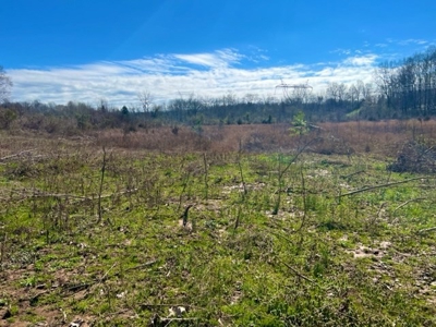 Raw Land No Restrictions Near Cookeville, TN with Creek - image 2