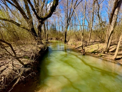 Raw Land No Restrictions Near Cookeville, TN with Creek - image 4