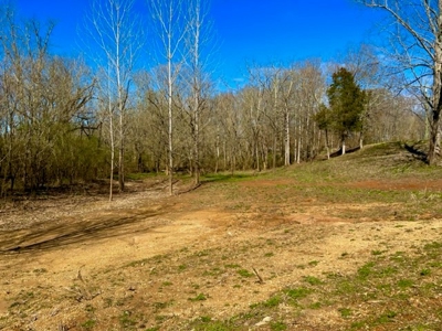 Raw Land No Restrictions Near Cookeville, TN with Creek - image 1