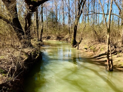 Raw Land No Restrictions Near Cookeville, TN with Creek - image 3