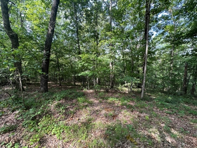 10+/- Acres of Land For Sale in Van Buren County, Arkansas - image 25