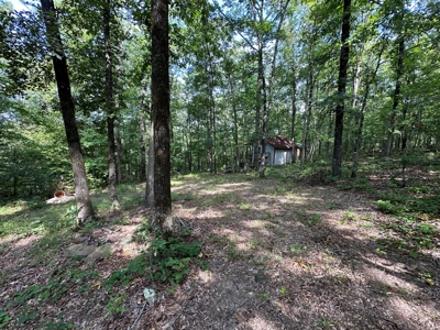 10+/- Acres of Land For Sale in Van Buren County, Arkansas - image 35