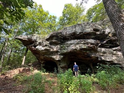 10+/- Acres of Land For Sale in Van Buren County, Arkansas - image 13
