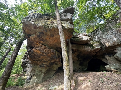 10+/- Acres of Land For Sale in Van Buren County, Arkansas - image 16