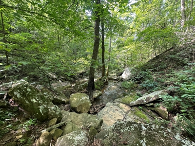 10+/- Acres of Land For Sale in Van Buren County, Arkansas - image 7