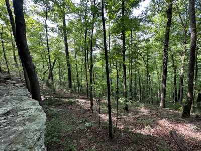 10+/- Acres of Land For Sale in Van Buren County, Arkansas - image 10