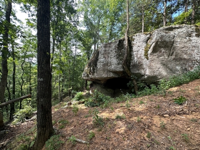 10+/- Acres of Land For Sale in Van Buren County, Arkansas - image 18