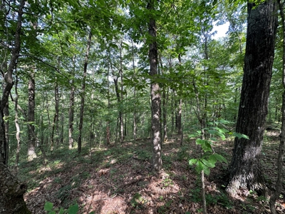 10+/- Acres of Land For Sale in Van Buren County, Arkansas - image 28