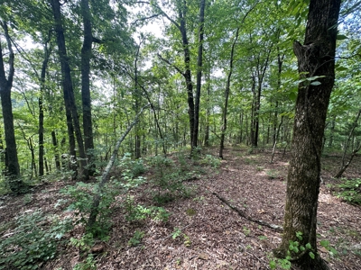 10+/- Acres of Land For Sale in Van Buren County, Arkansas - image 23