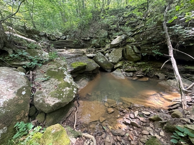 10+/- Acres of Land For Sale in Van Buren County, Arkansas - image 5