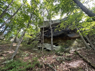10+/- Acres of Land For Sale in Van Buren County, Arkansas - image 11